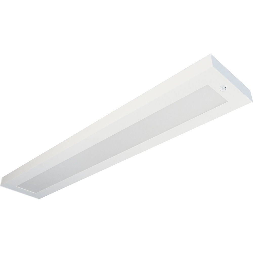 ALRM LED Light Fixture