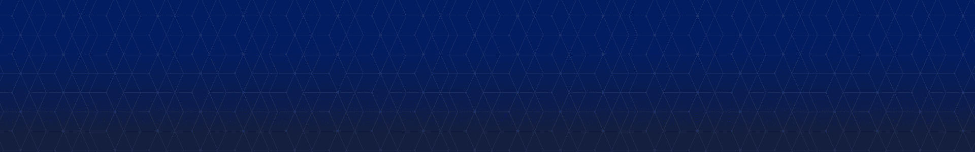 NS Blue Banner 1920x300