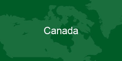 Leviton Network Solutions Canada