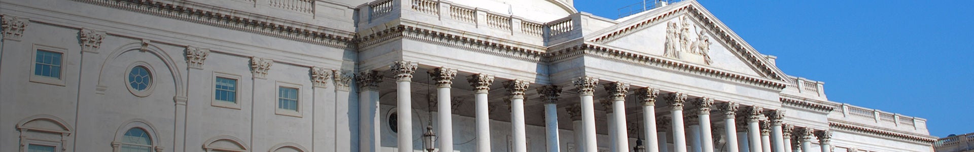 Government government banner